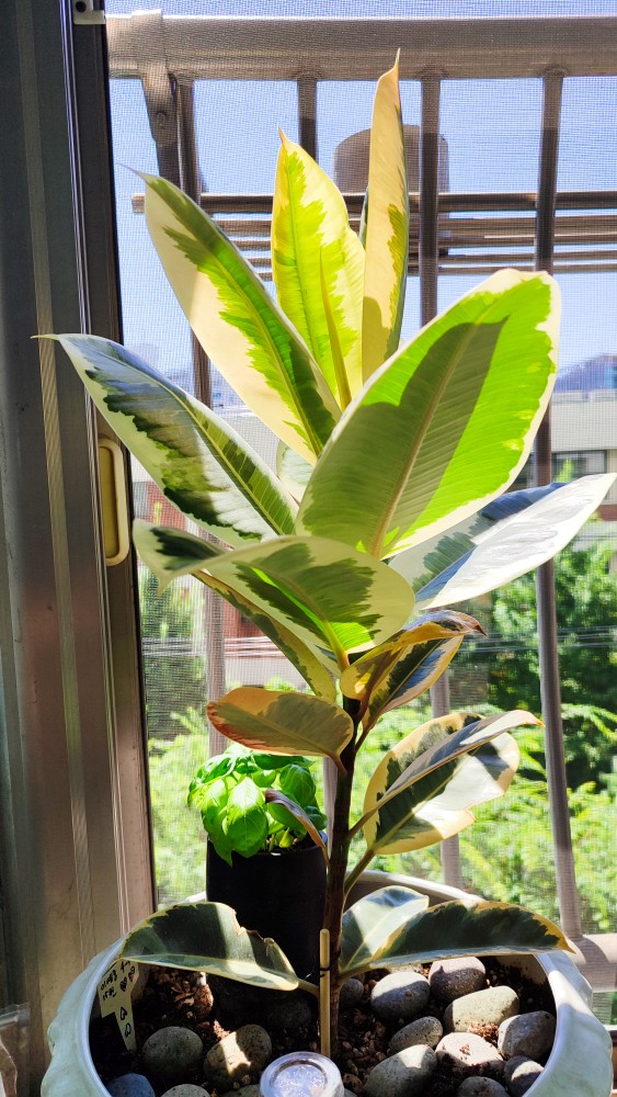 KakaoTalk_20250712_105306773_03.jpg