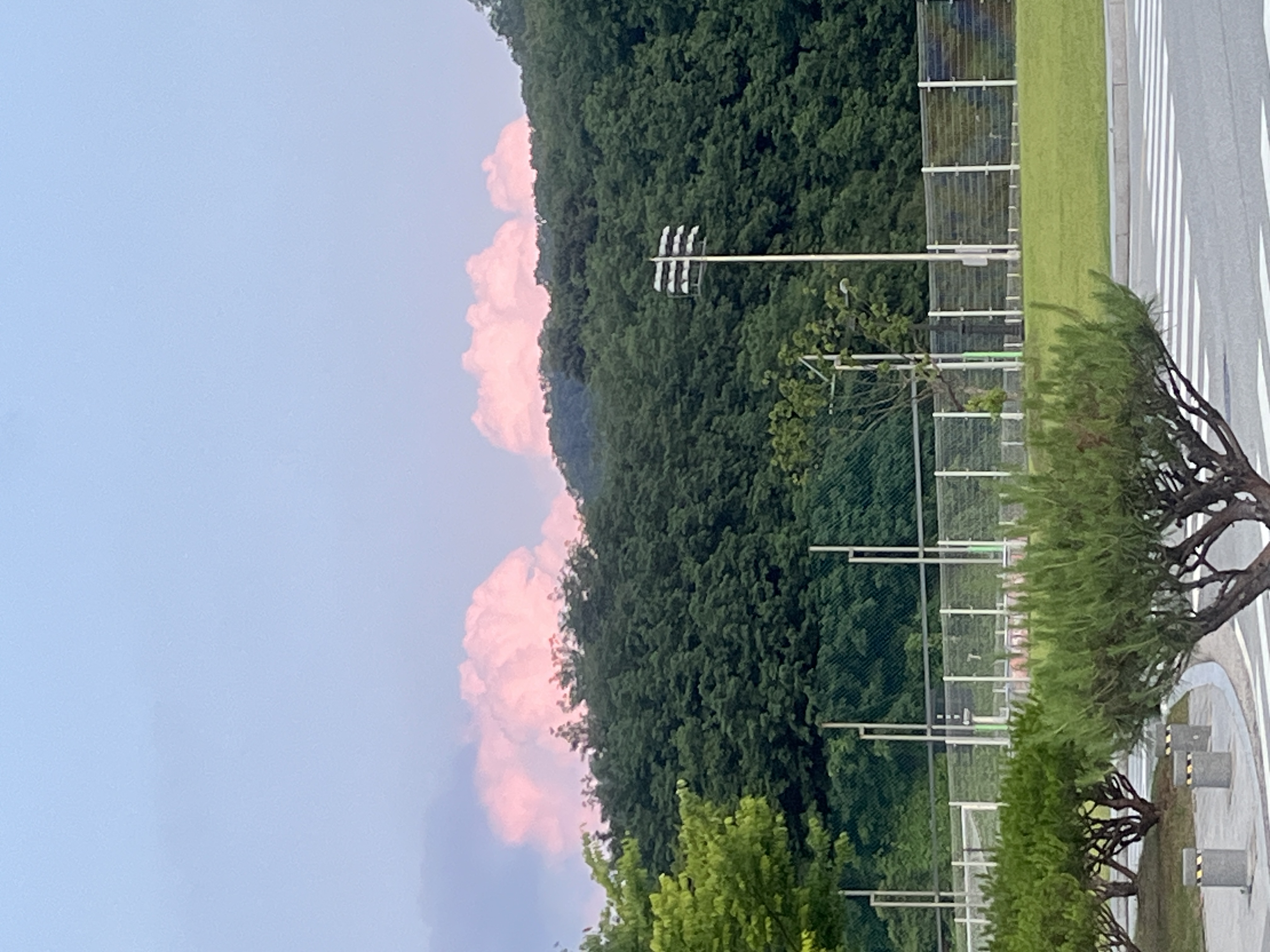IMG_6606.jpeg