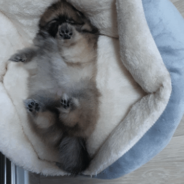 20241009_185656.gif