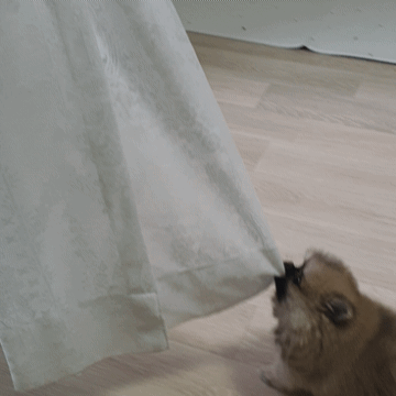 20241009_191222.gif