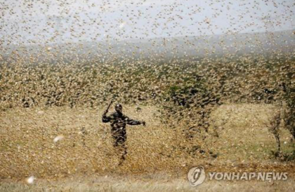 Valc를 쓰며 느낀 점