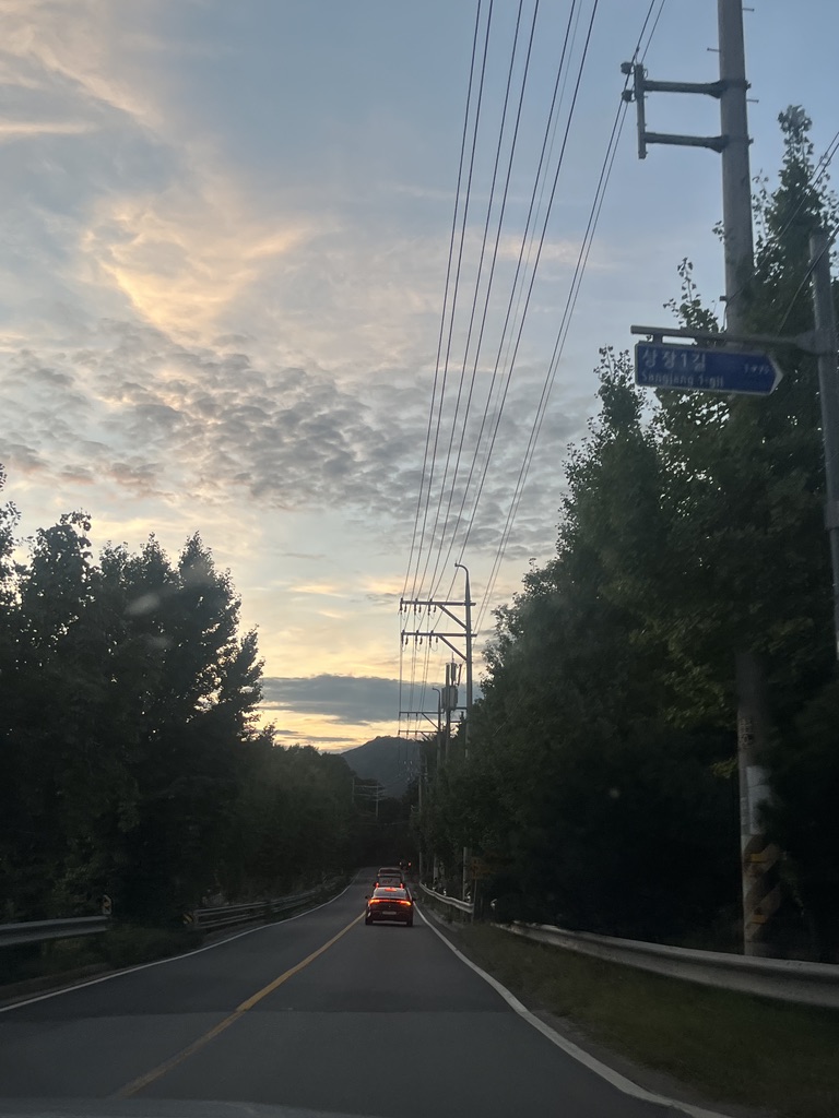 831A9B6D-39AD-4007-BE9C-38005FE79BD0_1_105_c.jpeg