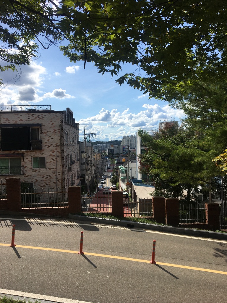 C24F5AD0-4F43-4C99-BA9D-B1FEA91E0253_1_105_c.jpeg