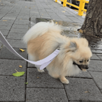 20240702_190206.gif