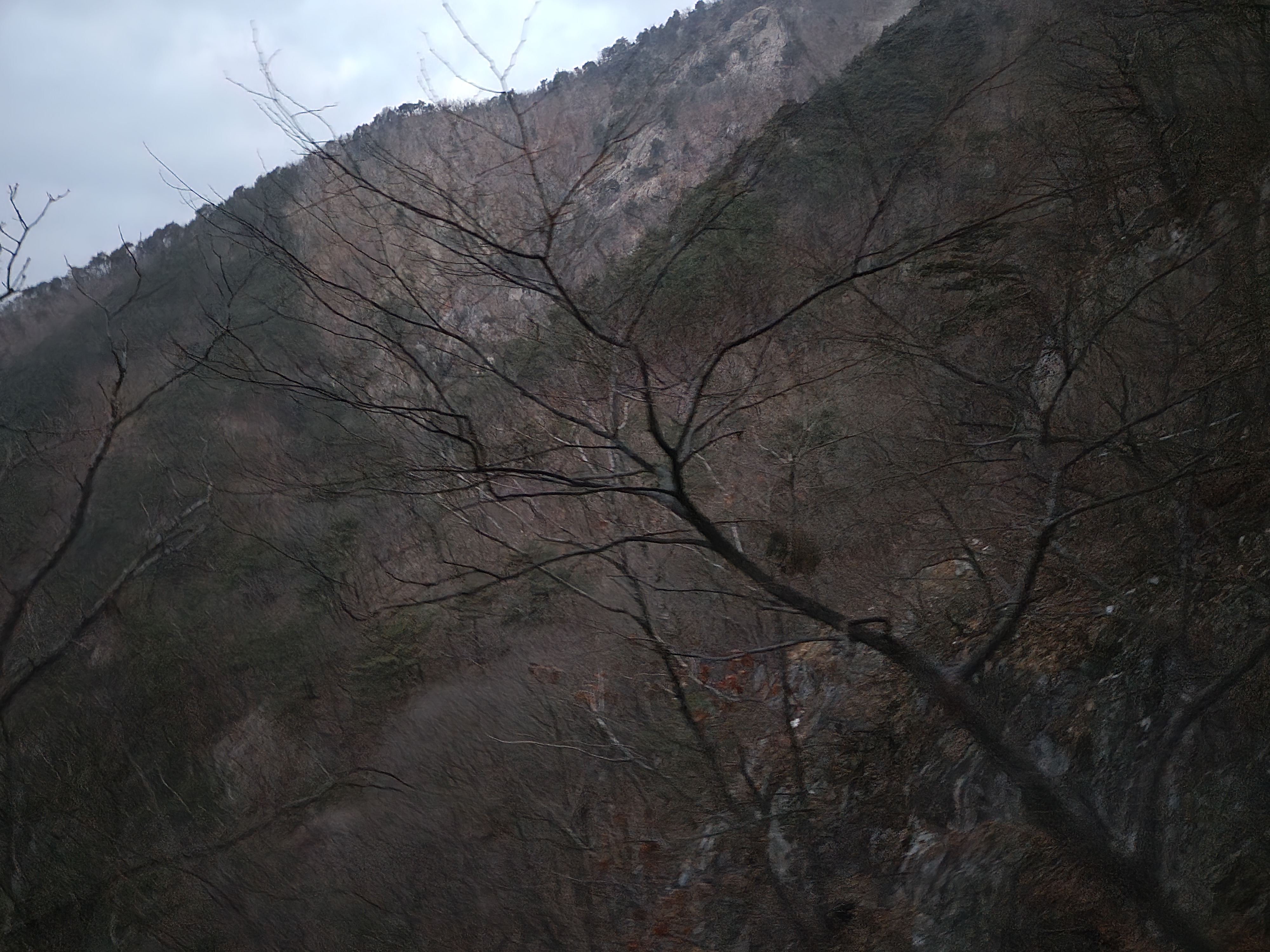 20240209_065938.jpg