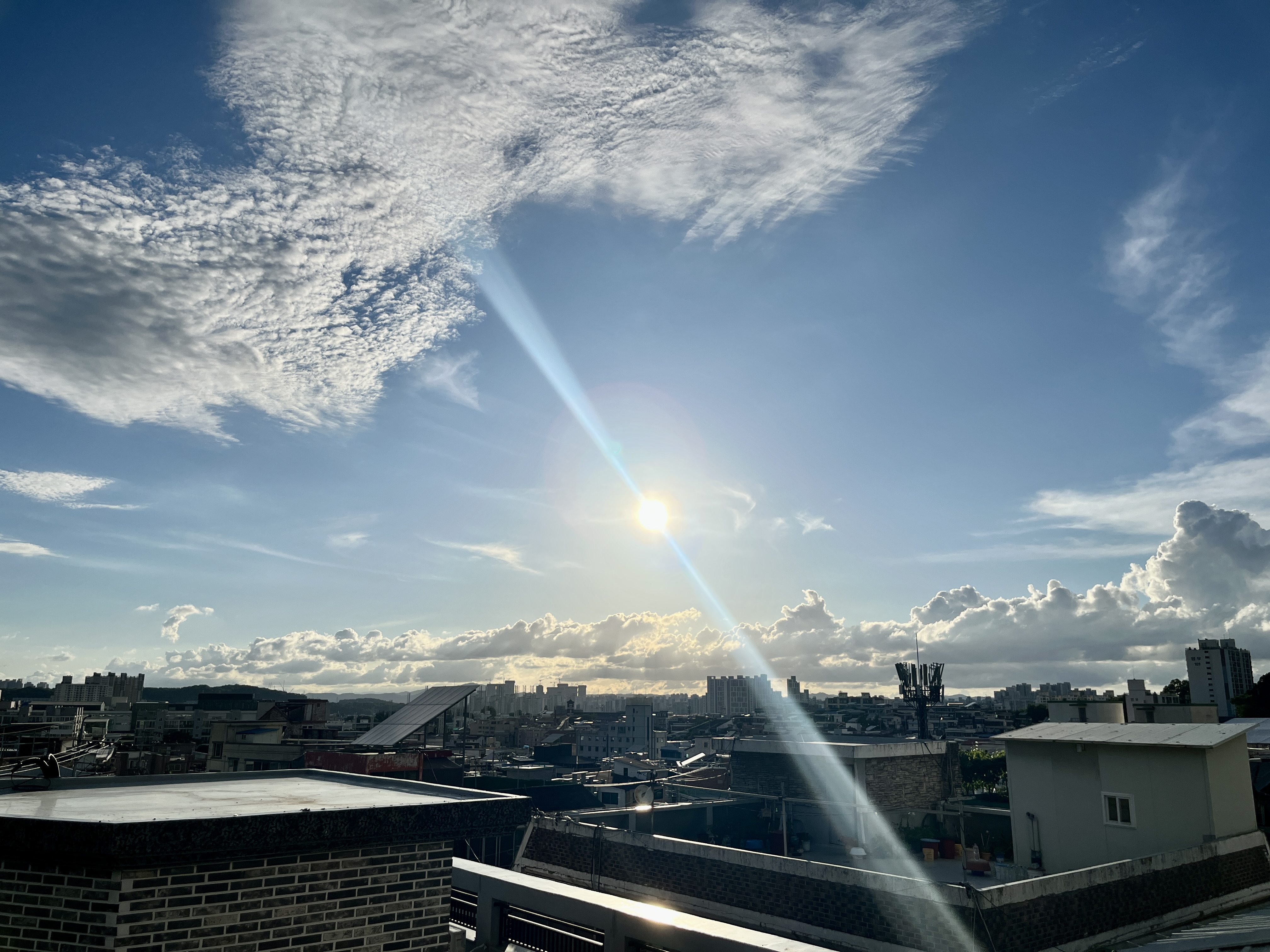 6EBB45E9-7FA1-4490-B426-E1296F65E251_1_201_a.jpeg