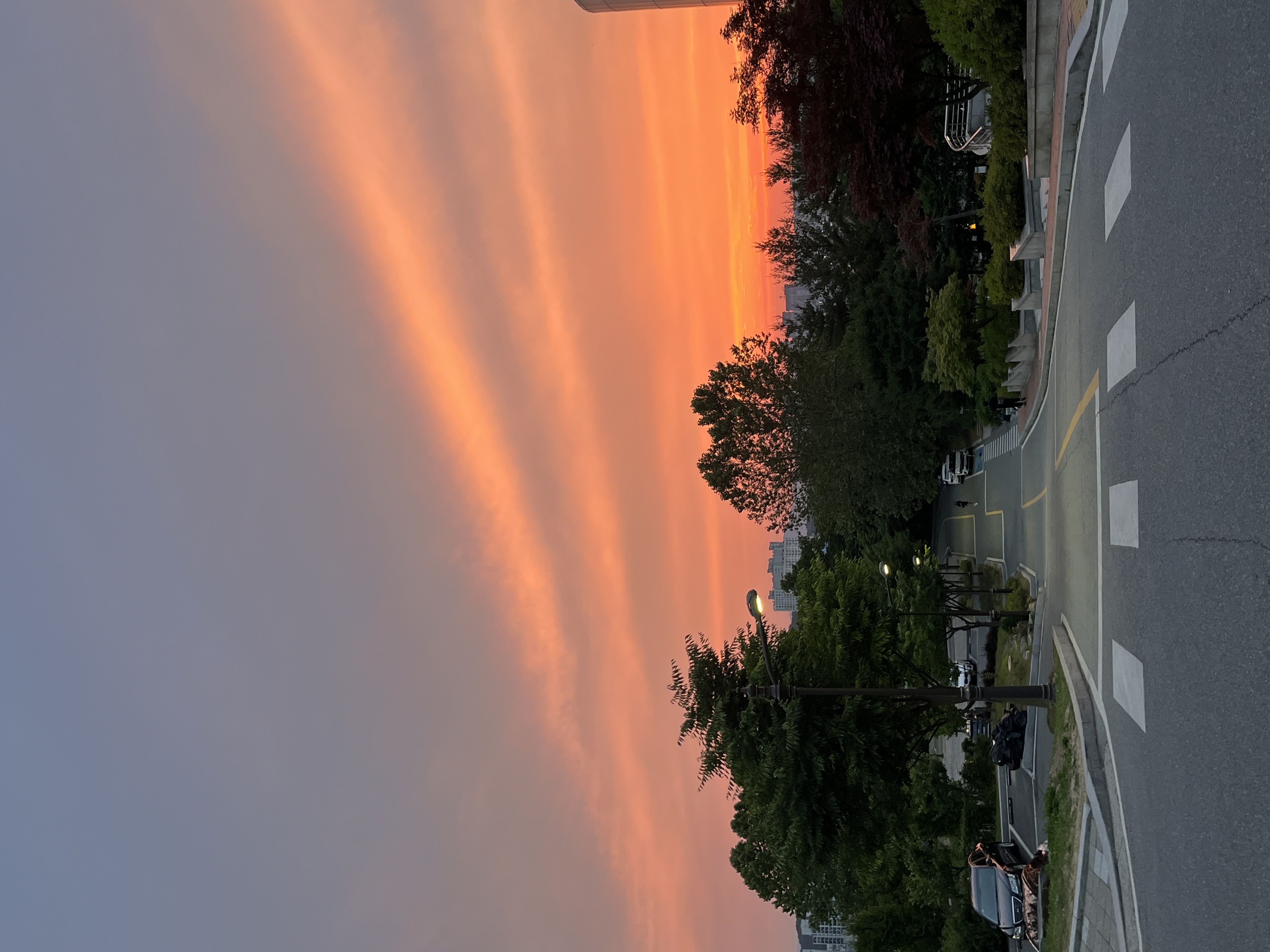IMG_6558.jpeg