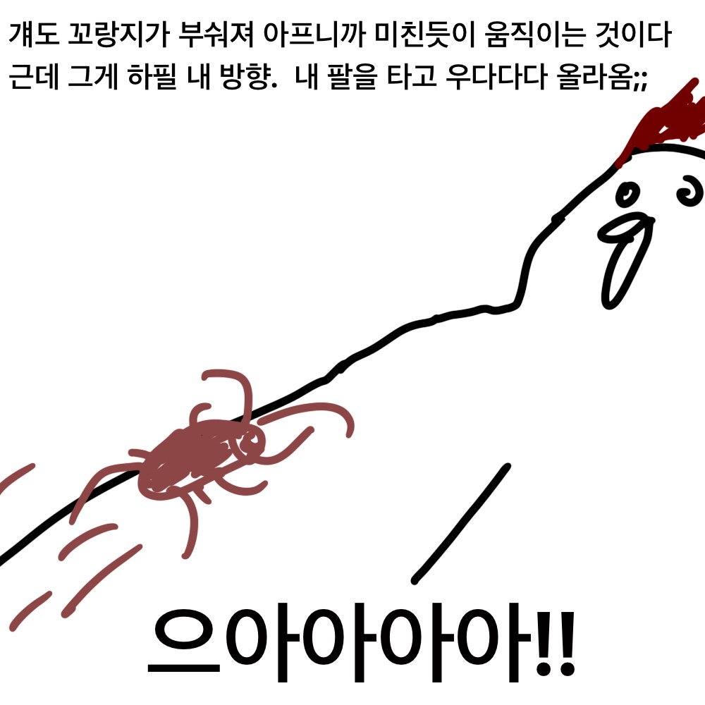 바퀴20.jpg