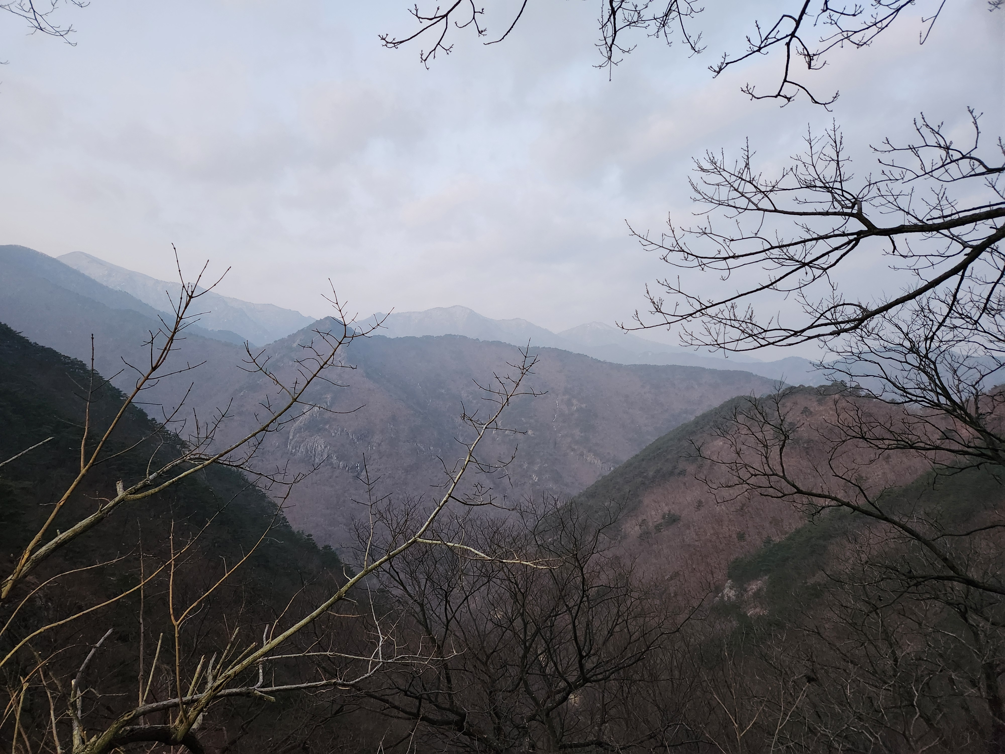 20240209_070345.jpg