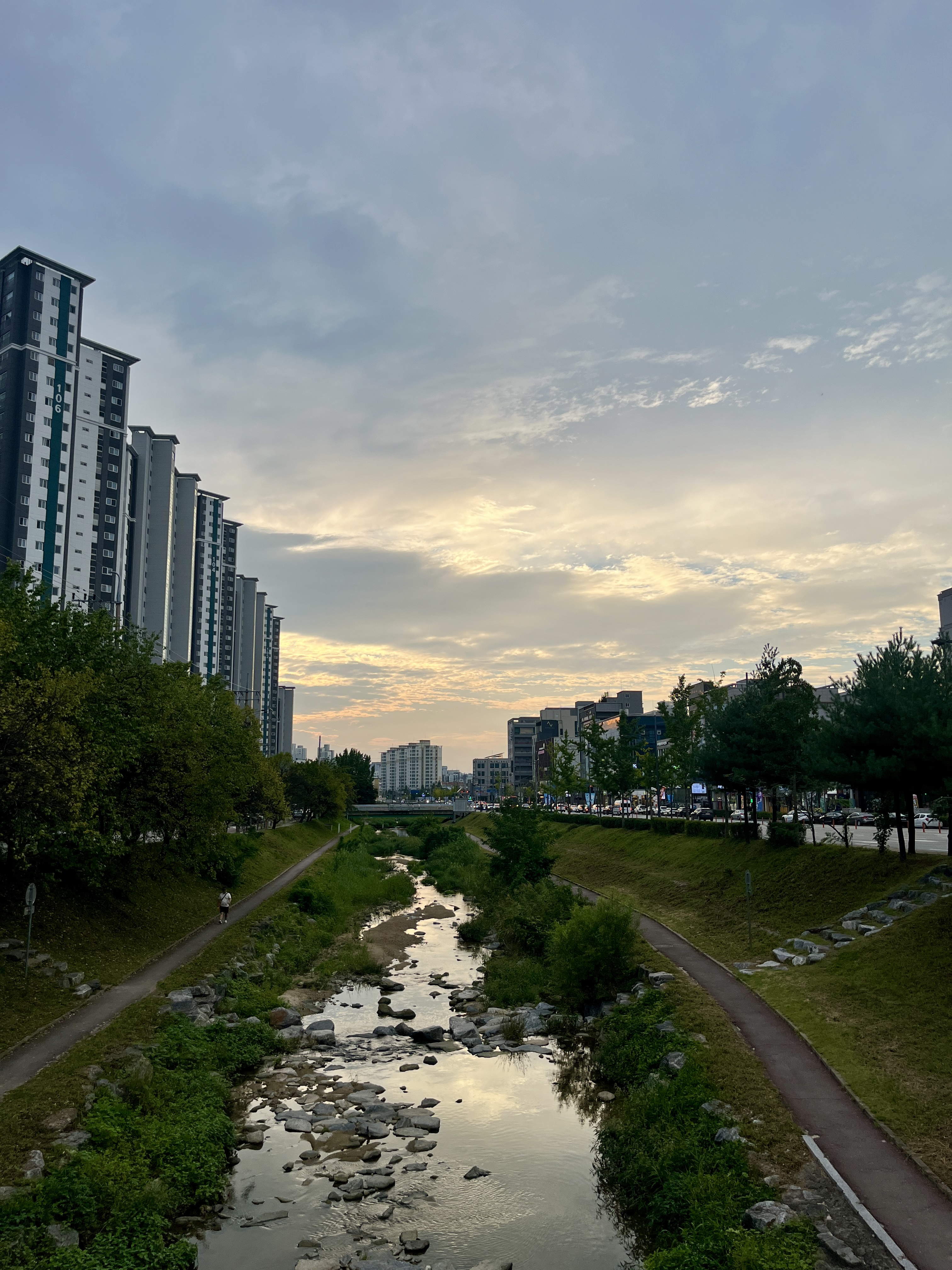 9D917F10-41E4-41CA-BF0E-9D68BD2C7F8A_1_201_a.jpeg