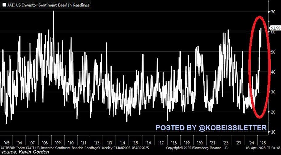 IMAGE 2025-04-04 17:41:11.jpg