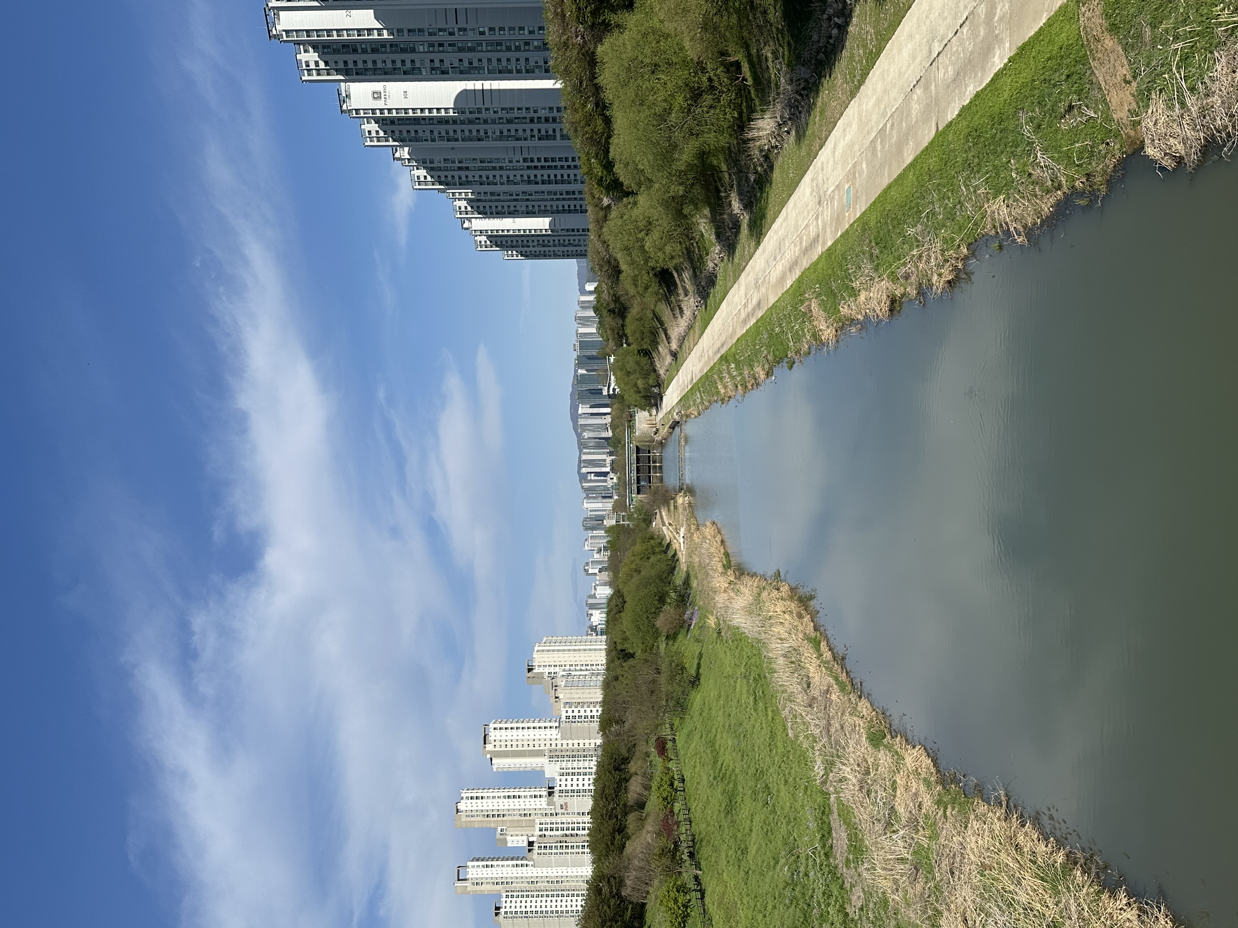 IMG_5520.jpeg