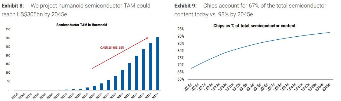 Morgan Stanley: Humanoid Tech