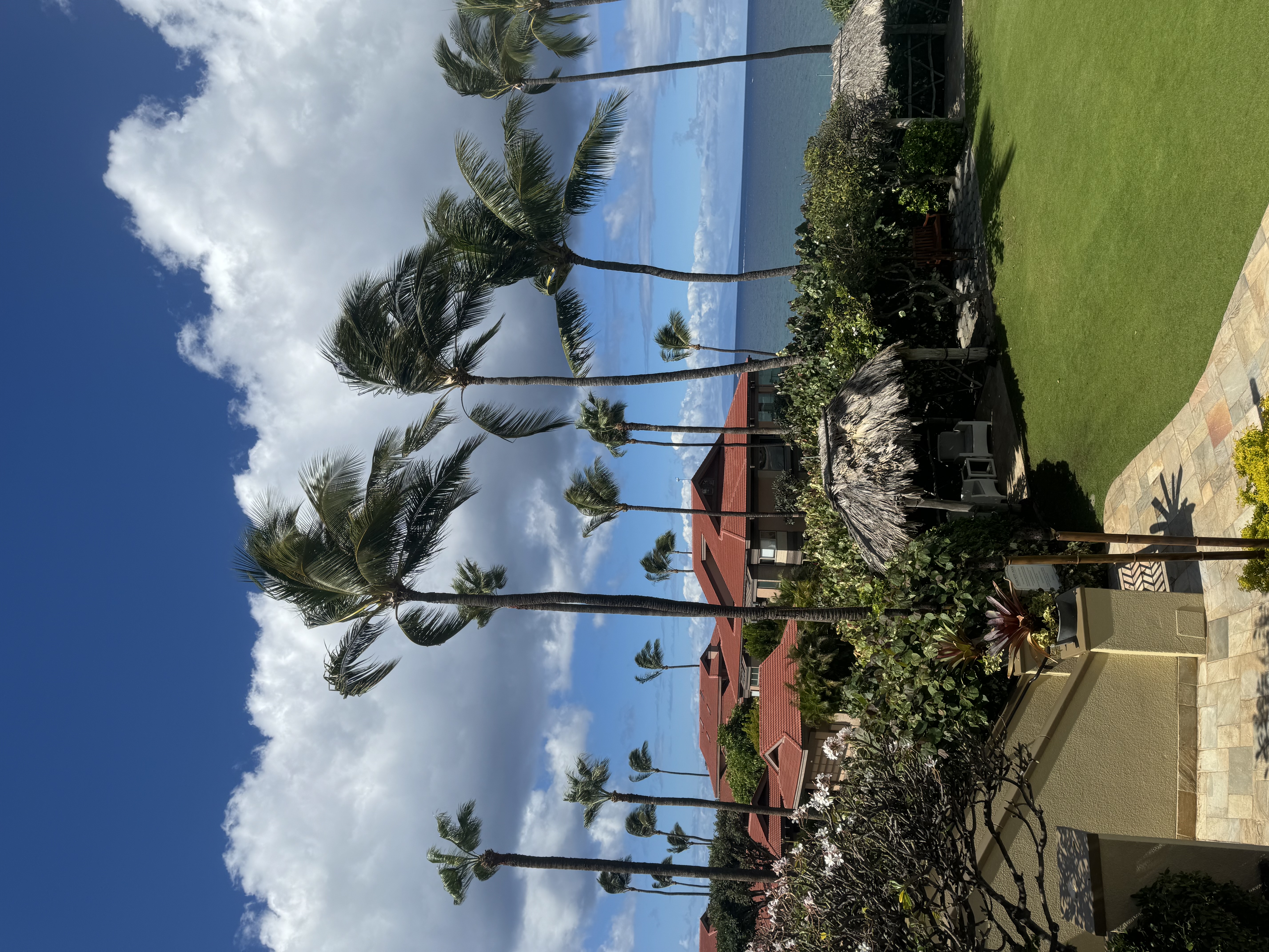 IMG_3775.jpeg