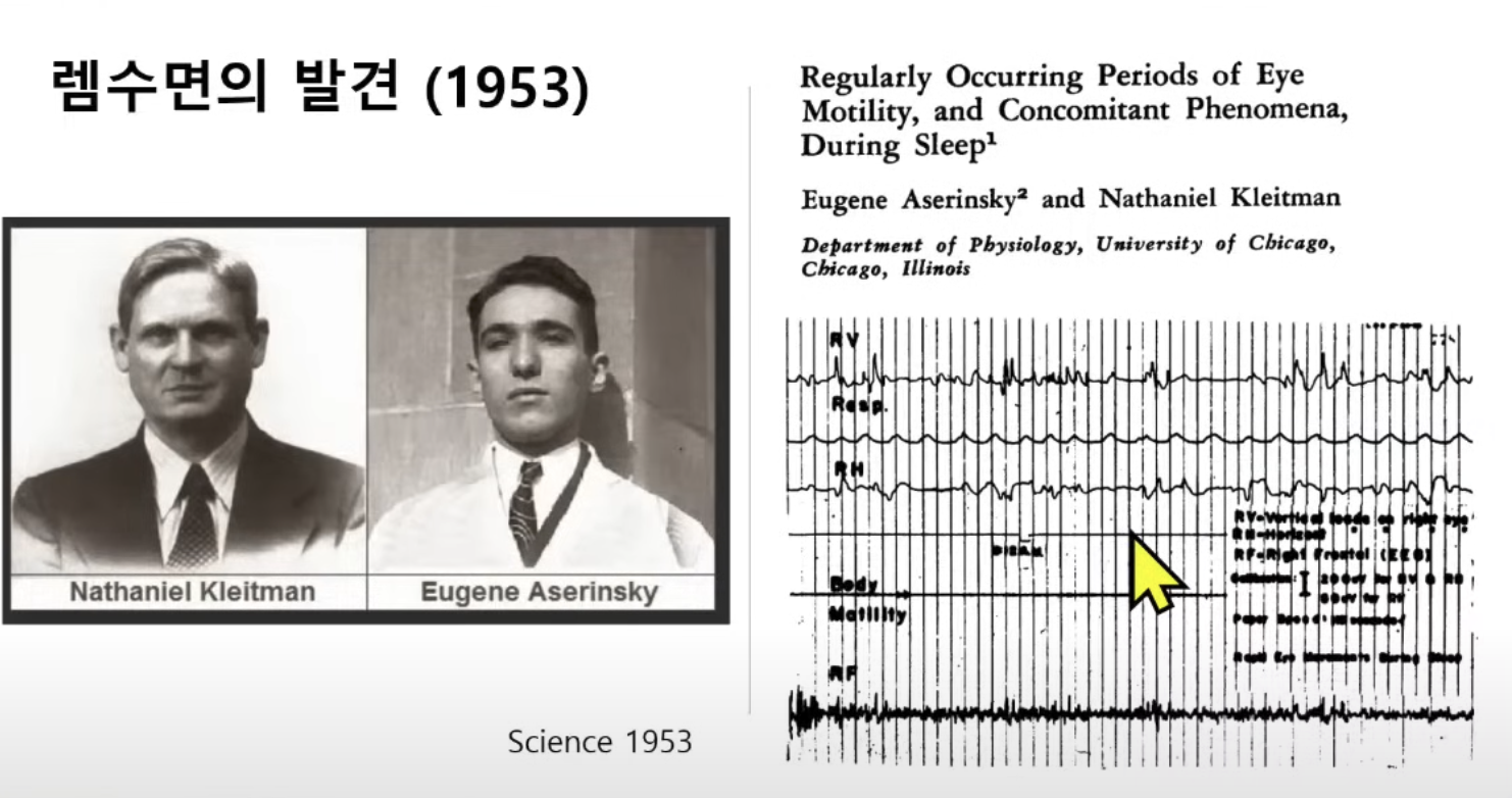 수면과 뇌 건강