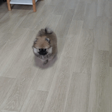 20241009_184720.gif