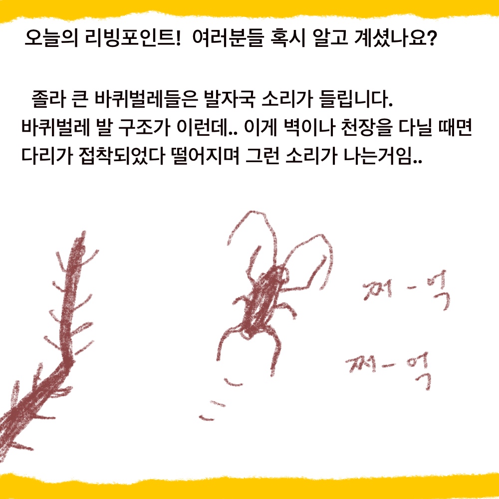 바퀴9.jpg