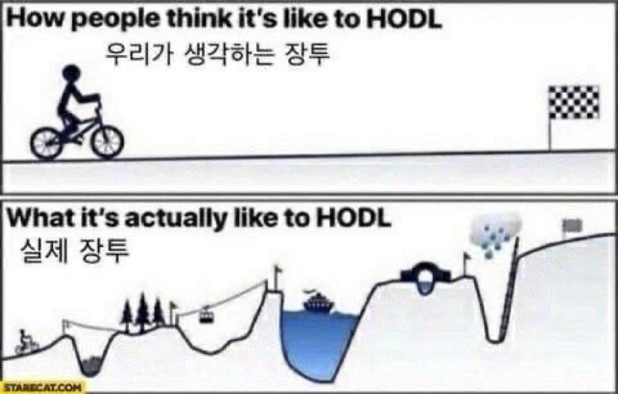 Valley에 가입한 이유