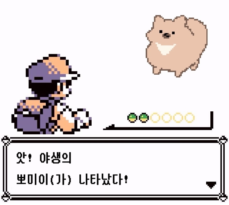 뽀미의 앞발구르기