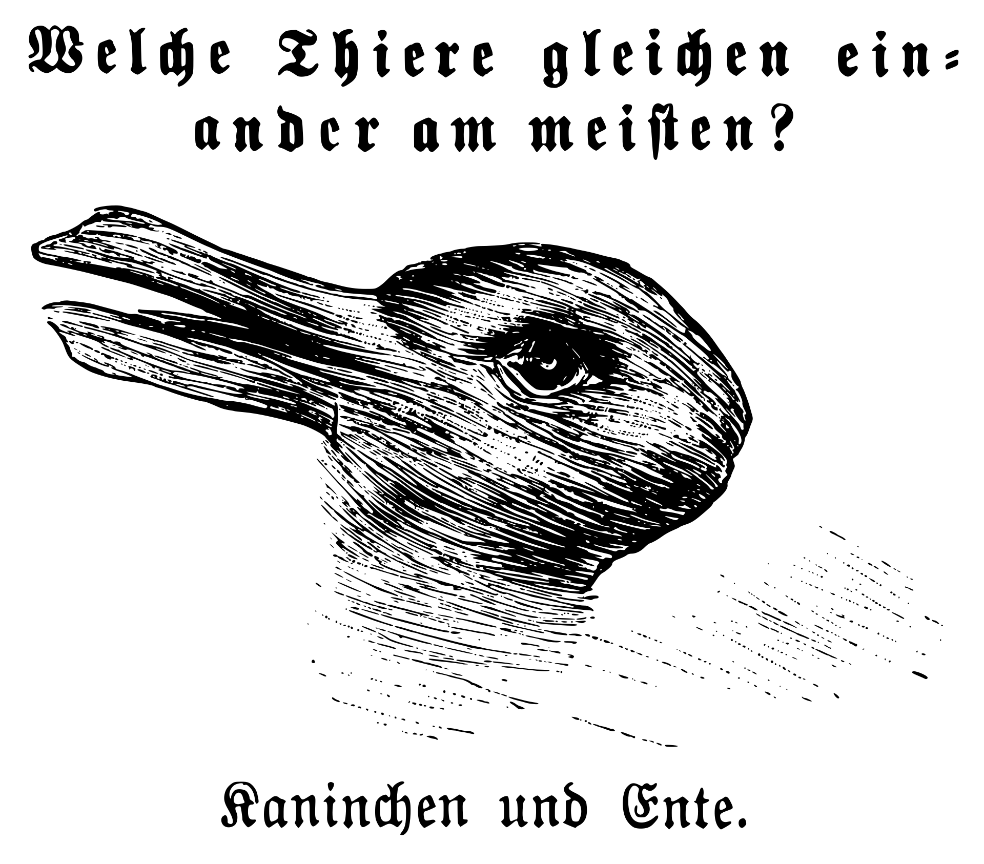 Kaninchen_und_Ente.svg.png