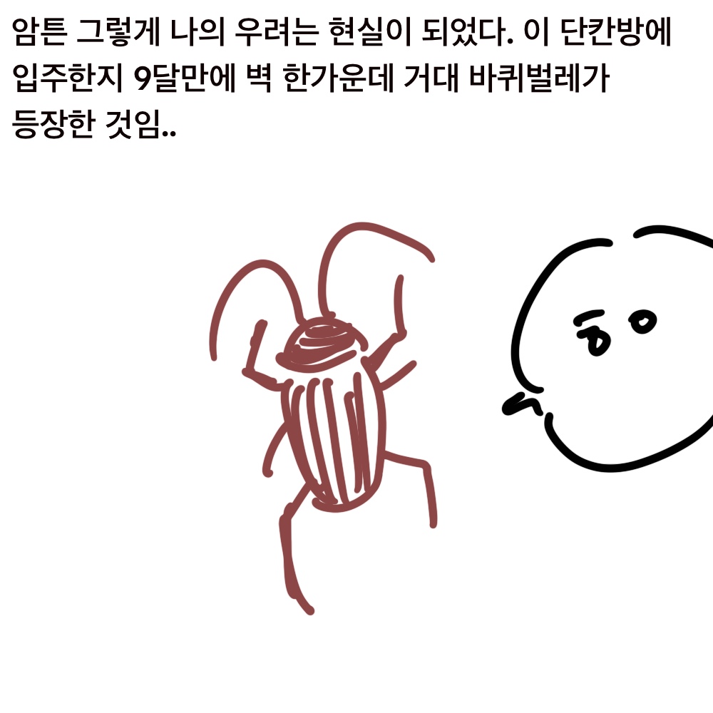 바퀴10.jpg