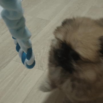 20241009_185812.gif