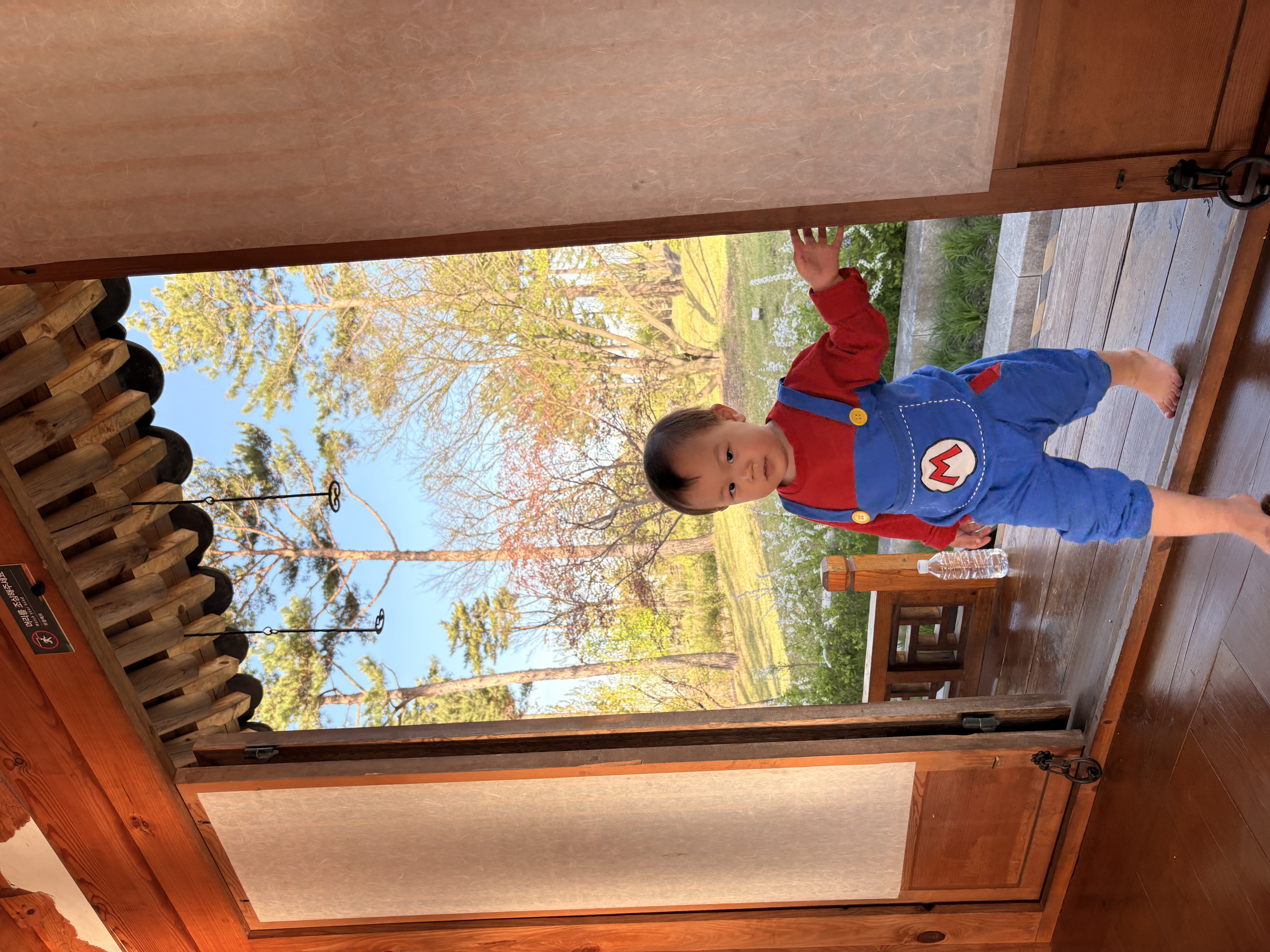 IMG_6129.jpeg
