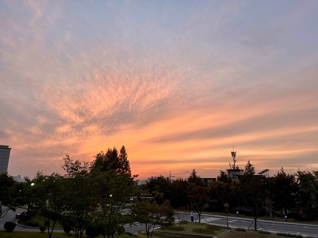 71539F55-FA6E-4720-8338-324F04ADBF6F_1_105_c.jpeg