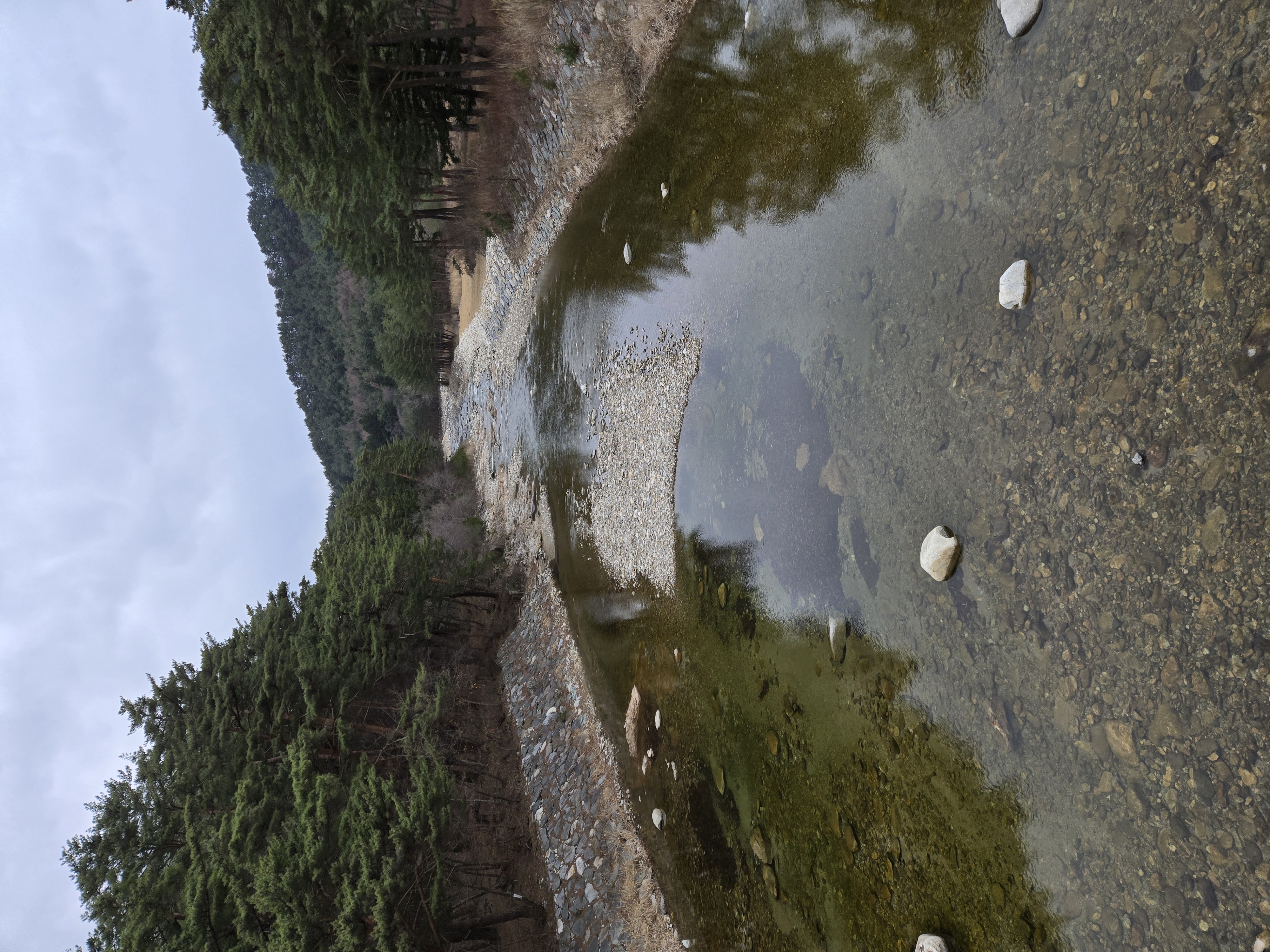 20250402_165230.jpg