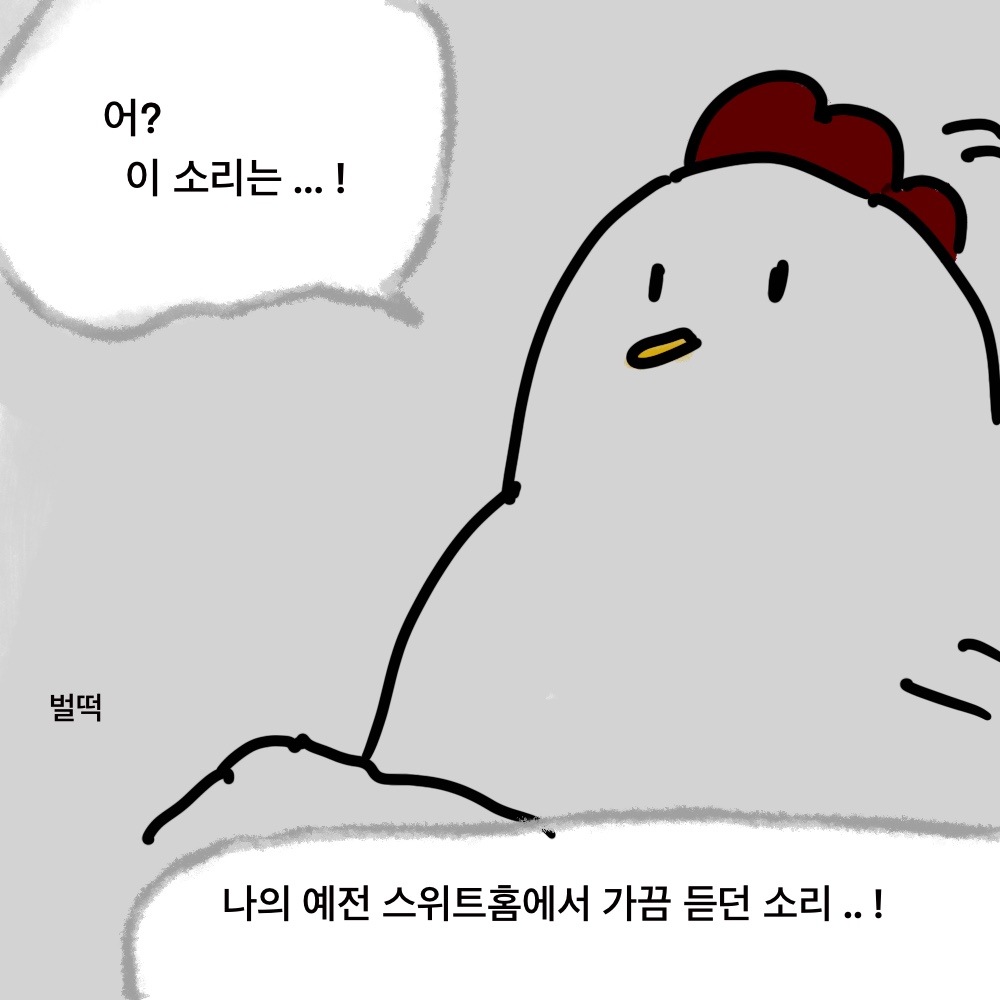 바퀴5.jpg