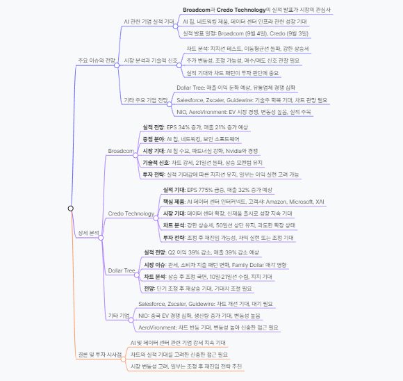 브로드컴, 크레도 테크놀로지 실적이 AI 주식의 다음 테스트가 될 것입니다