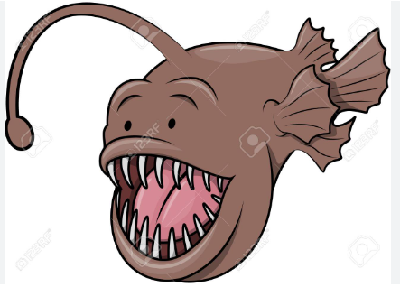 첨부 이미지 1