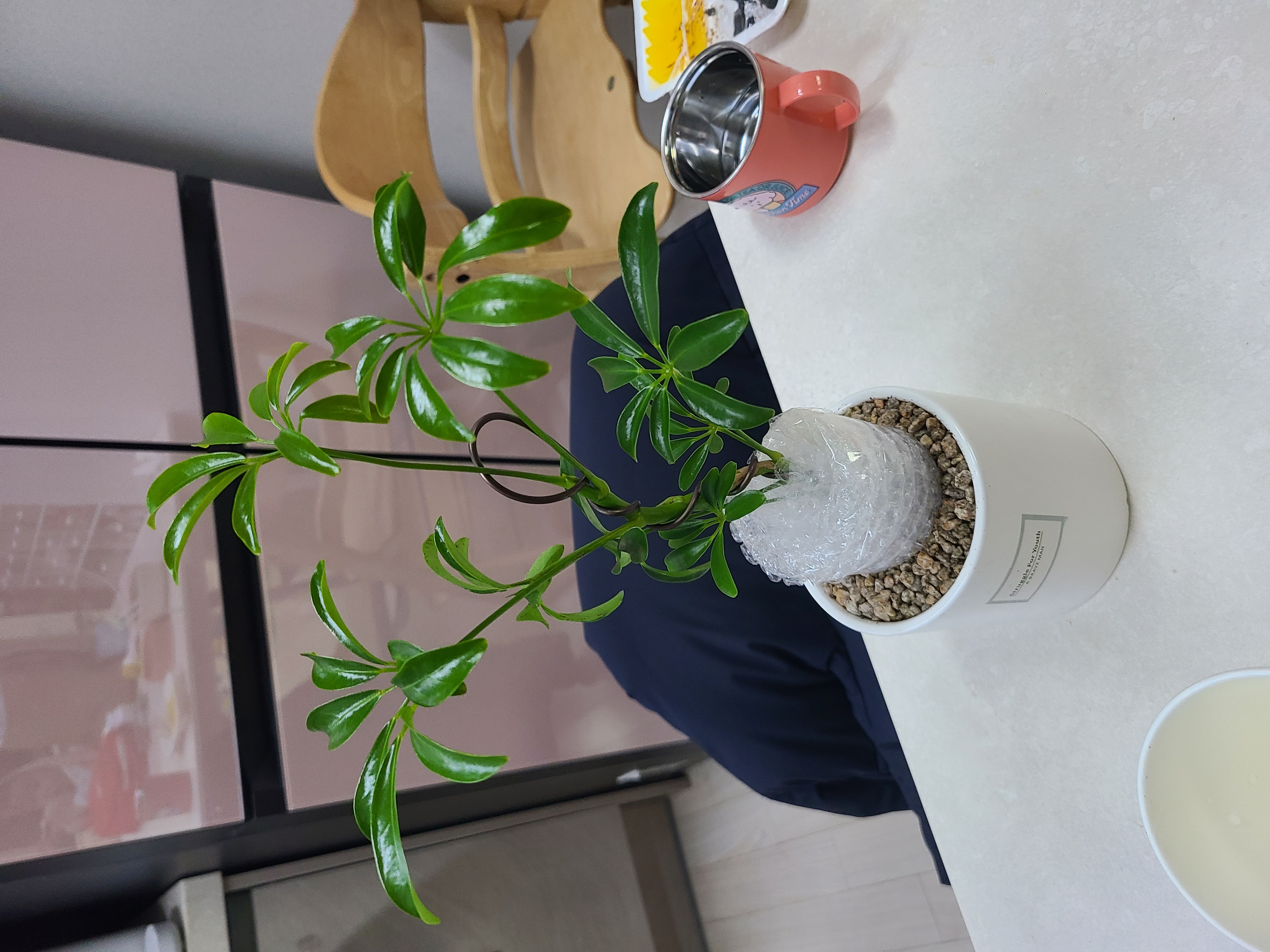 첨부 이미지 1