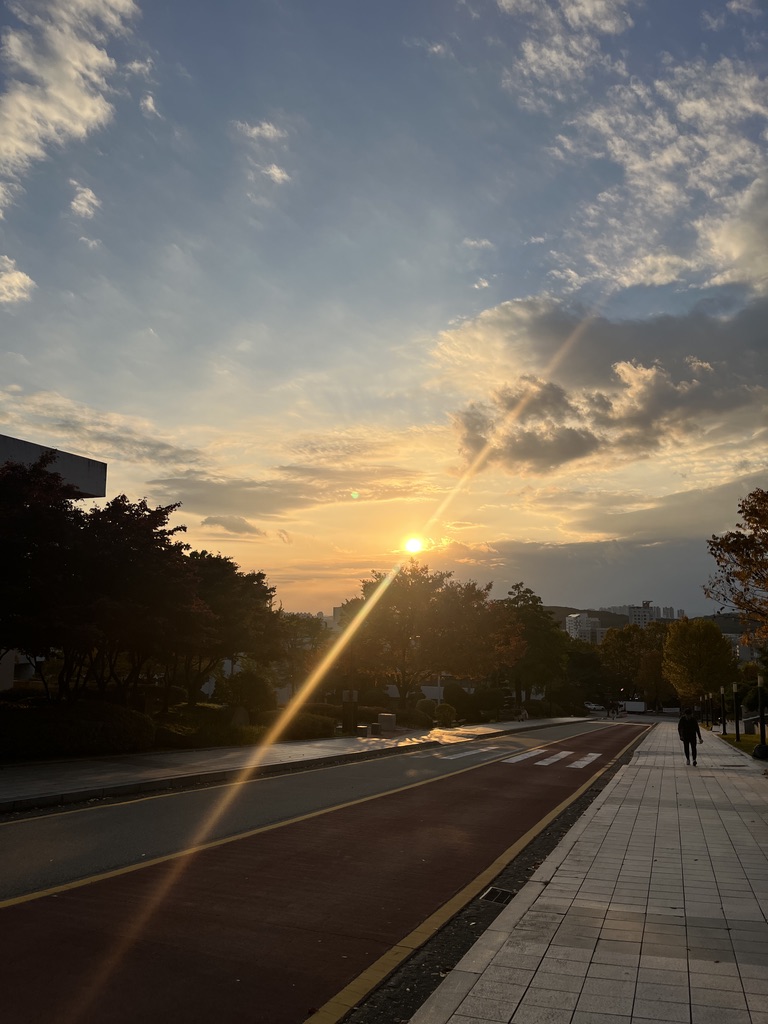 16B1180B-8559-4344-BEB9-574A8FAE0EB1_1_105_c.jpeg