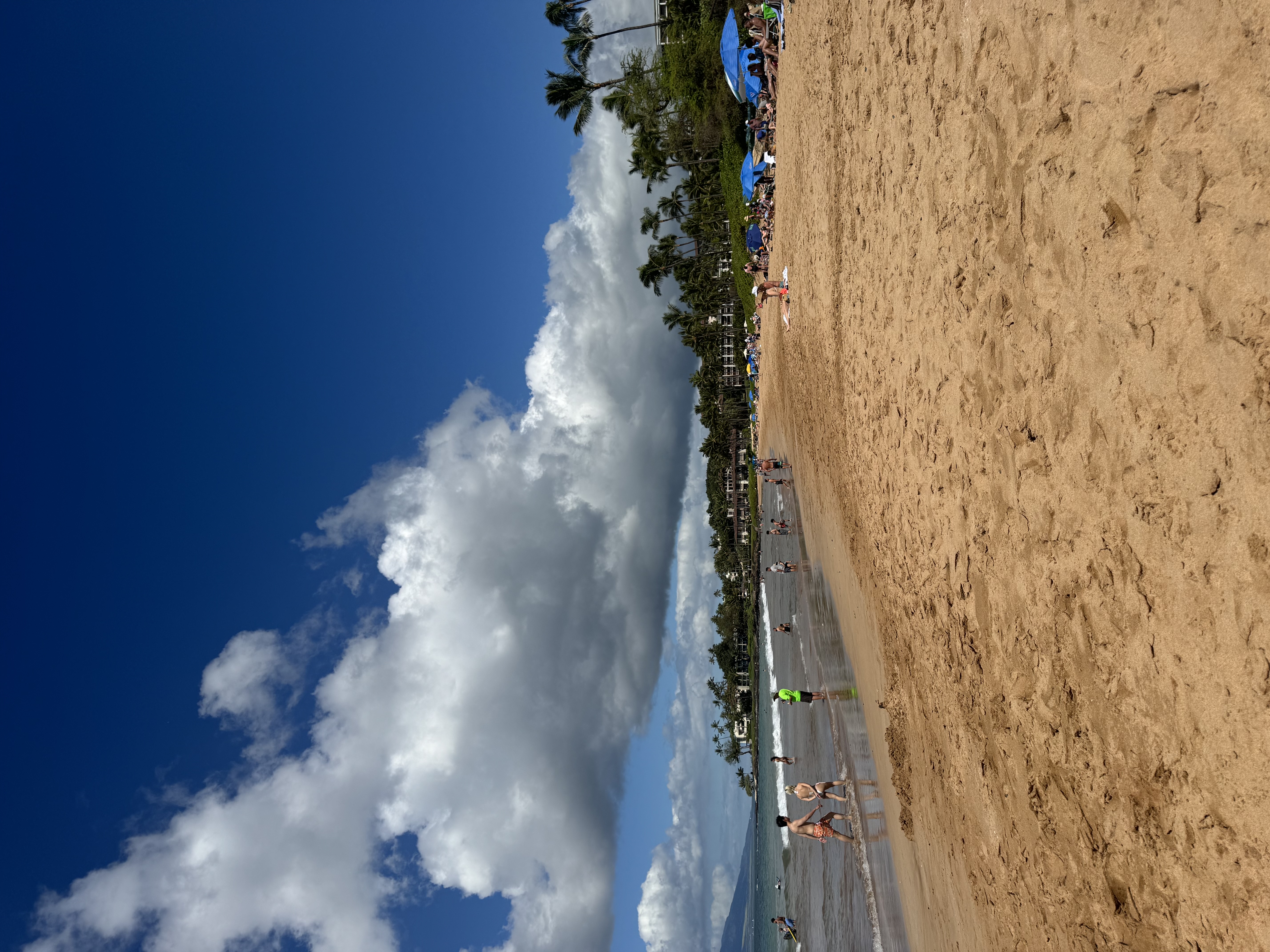 IMG_3816.jpeg