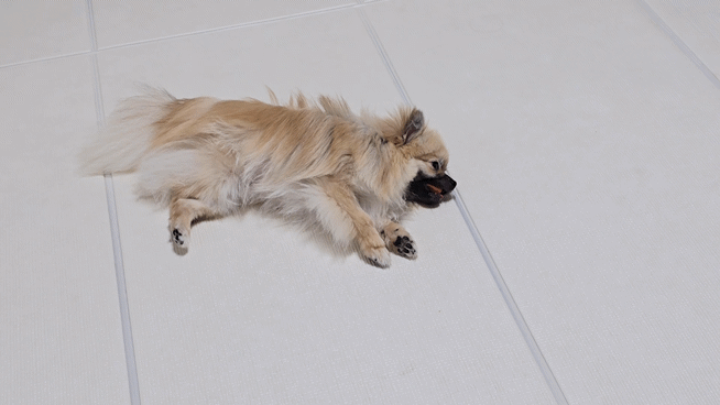 20240629_155839_1.gif