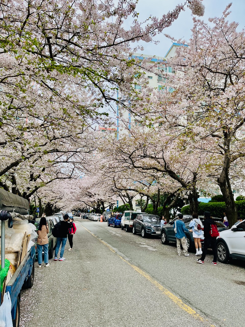 부산 재건축 아파트를 매수한 근거