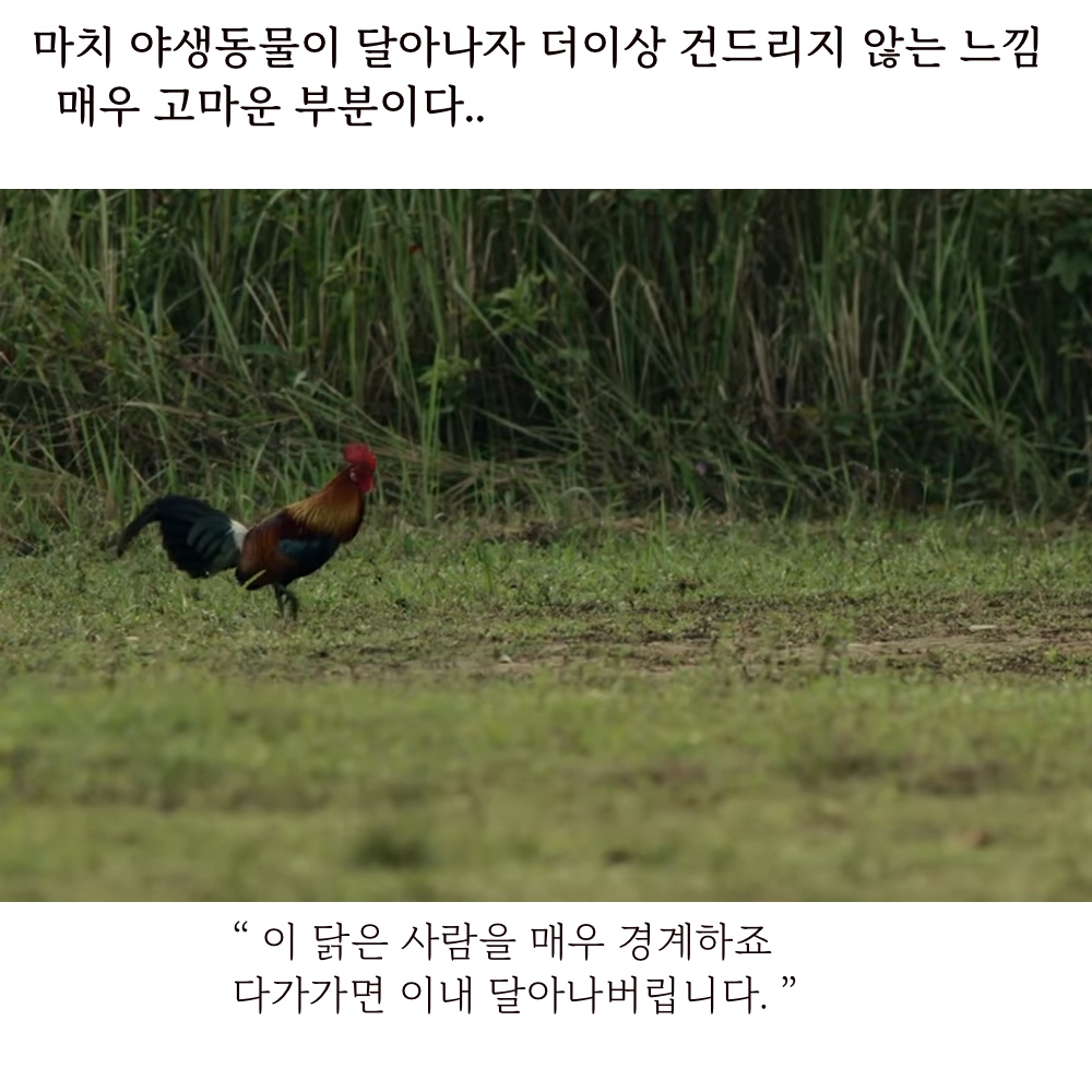 퓨전26.jpg