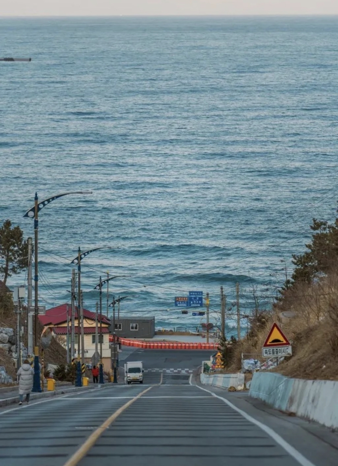 시장을 경멸하다