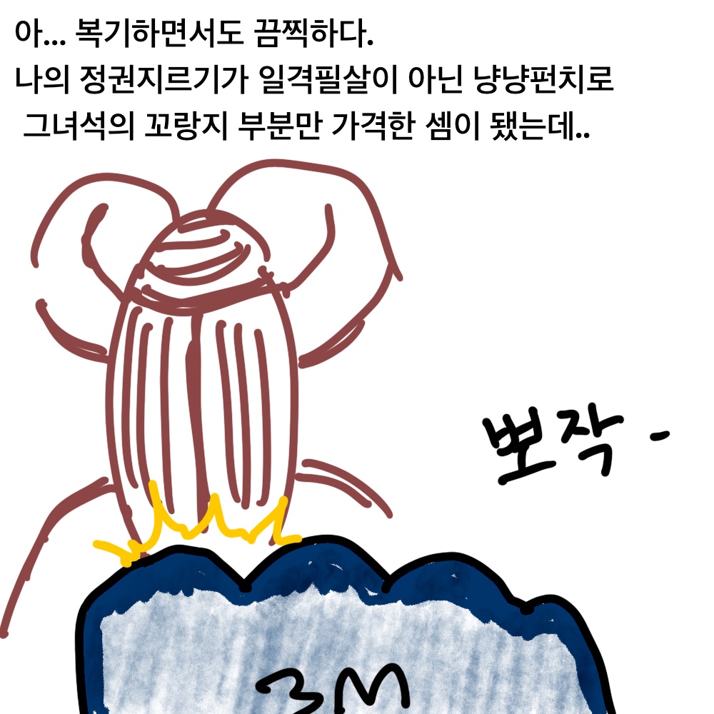 바퀴18.jpg