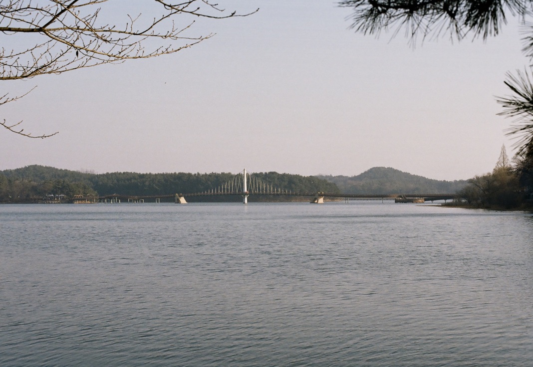 7E3C9760-4C3C-4423-A9F3-15C43F7A1A57_1_105_c.jpeg