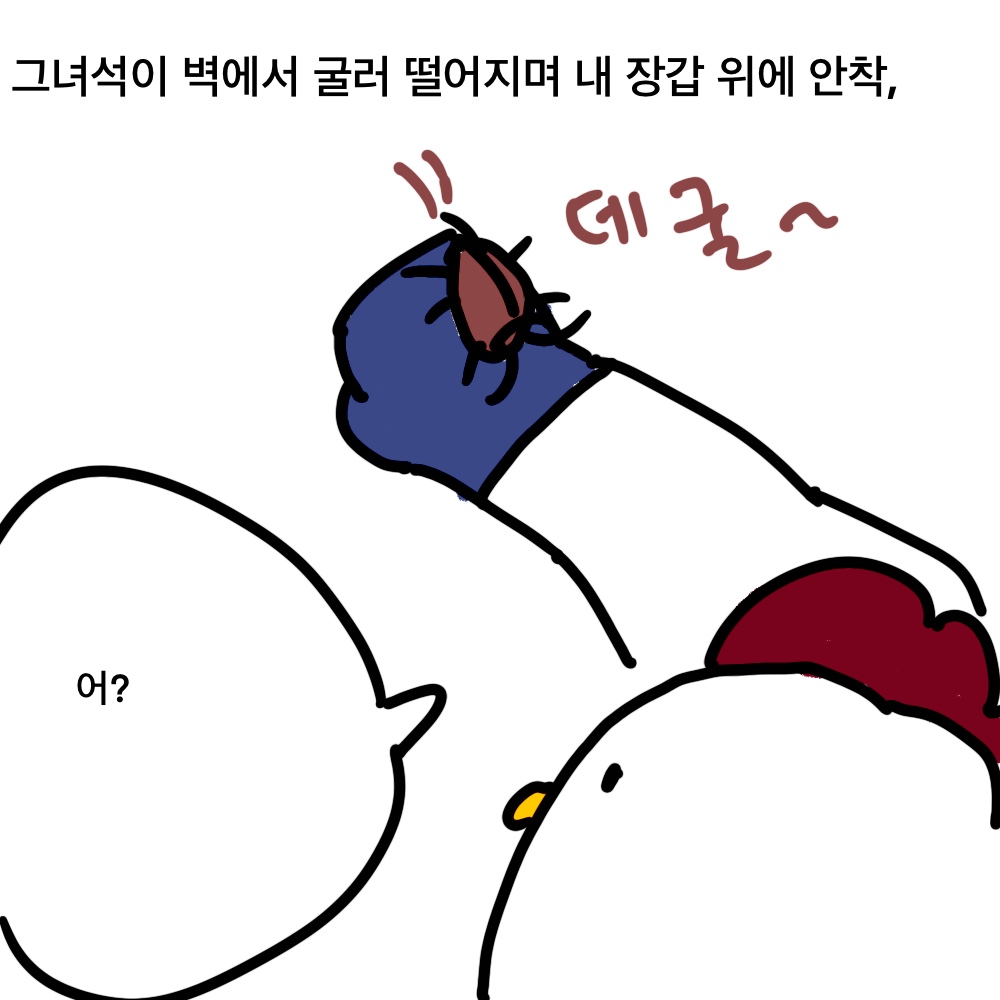 바퀴19.jpg