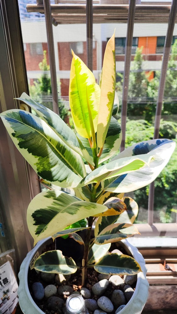 KakaoTalk_20250712_105306773_01.jpg