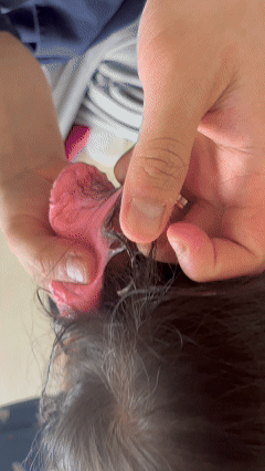 0329 slime2.gif